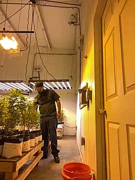 jr91esl online show from March 2025 05:14:02 PM