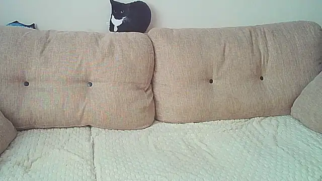 Snapshot of Ostin_meow chatting on December 2024 08:07:02 AM Ostin meow online show from December 2024 08:07:02 AM
