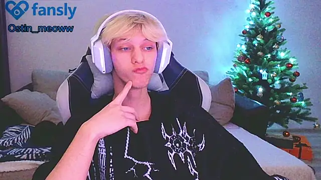 Snapshot of Ostin_meow chatting on January 2025 03:46:02 PM Ostin meow online show from January 2025 03:46:02 PM