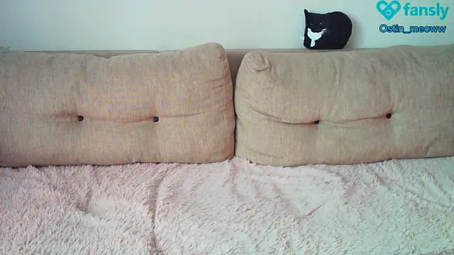 Snapshot of Ostin_meow chatting on February 2025 07:45:02 AM Ostin meow online show from February 2025 07:45:02 AM