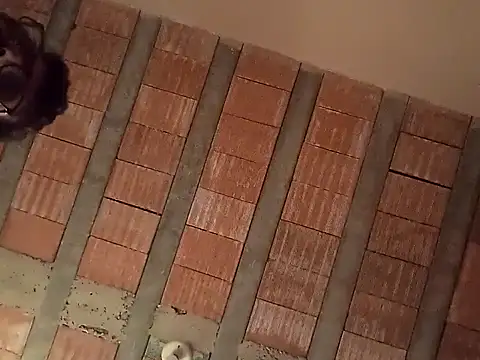 Snapshot of jtf4055 chatting on September 2025 09:42:02 AM jtf4055 online show from September 2025 09:42:02 AM