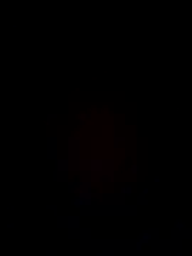 samee00721 online show from December 2024 04:12:01 AM