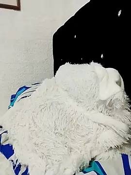 ElizabethWeil online show from December 2025 03:16:02 PM