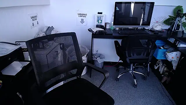 Snapshot of salome_drasin chatting on February 2026 12:17:02 PM salome drasin online show from February 2026 12:17:02 PM