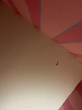 Snapshot of mikeJak chatting on March 2025 07:09:02 AM mikeJak online show from March 2025 07:09:02 AM