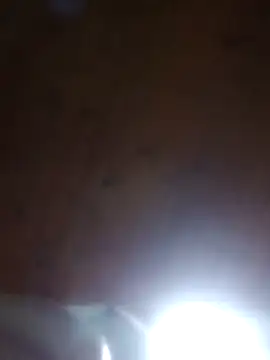 Darly Gomez online show from March 2025 12:04:01 AM