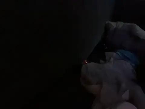 Snapshot of houy111111 chatting on October 2025 04:52:01 PM houy111111 online show from October 2025 04:52:01 PM