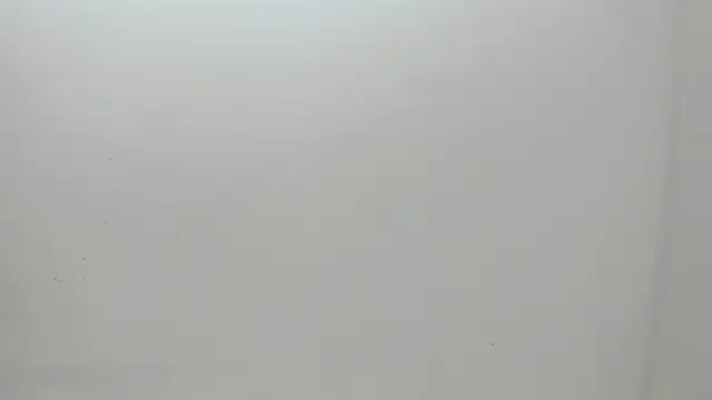 Flynn Riider online show from March 2025 11:17:01 AM