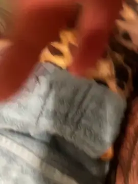 edgher646 online show from October 2025 08:55:02 AM