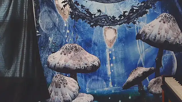 Snapshot of _hellostormy_ chatting on February 2026 07:21:01 PM hellostormy online show from February 2026 07:21:01 PM