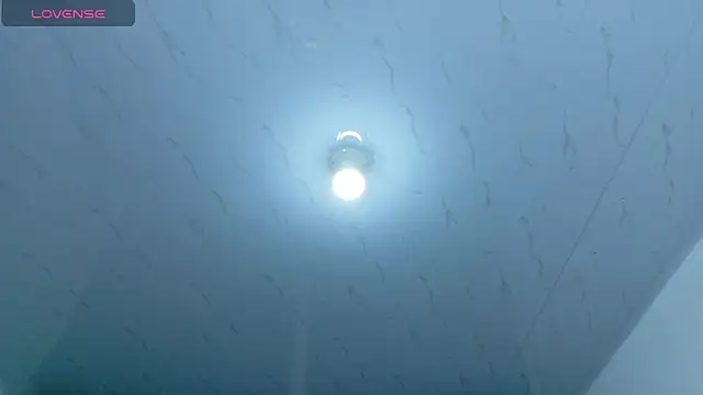 Beautifulkattia online show from February 2026 12:29:01 AM