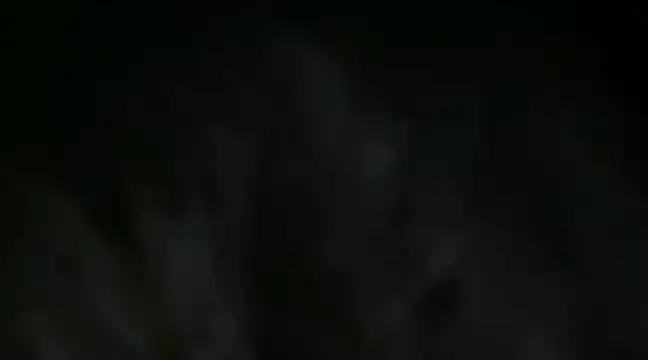 fairyC for u online show from March 2025 11:42:02 AM