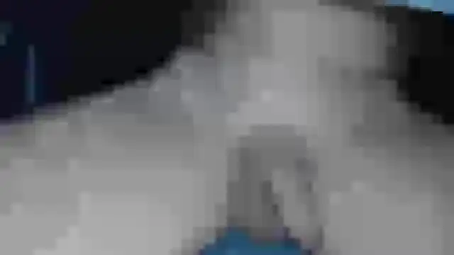 Snapshot of cs1512 chatting on February 2025 06:38:01 PM cs1512 online show from February 2025 06:38:01 PM