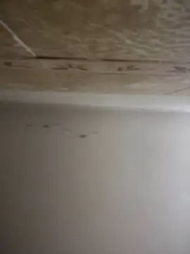 SecretlyDD online show from January 2025 04:24:01 PM