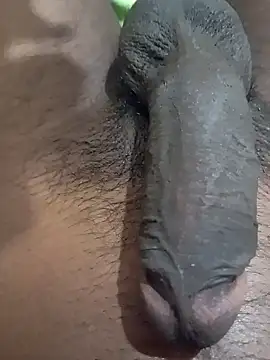 tharu111111 online show from January 2025 04:54:01 PM