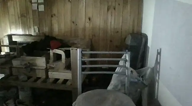 Snapshot of italianbighorse22 chatting on January 2025 06:03:01 AM italianbighorse22 online show from January 2025 06:03:01 AM