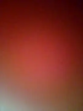 Snapshot of catalella14 chatting on January 2025 12:40:01 PM catalella14 online show from January 2025 12:40:01 PM