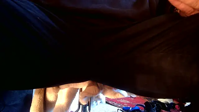 Snapshot of SilverandFox chatting on September 2025 05:46:02 PM SilverandFox online show from September 2025 05:46:02 PM