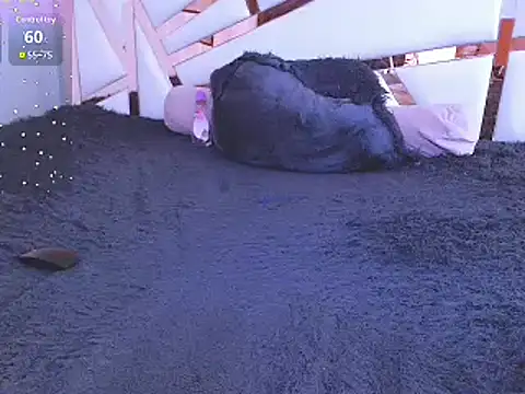 GabrielaFerrer02 online show from January 2025 02:56:02 PM