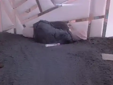 GabrielaFerrer02 online show from January 2025 02:47:01 PM