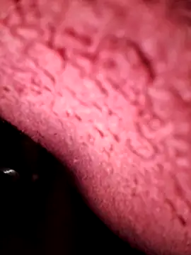 BigSnack123 online show from January 2025 05:37:02 PM