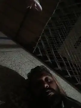 carria homes online show from October 2025 07:35:02 PM