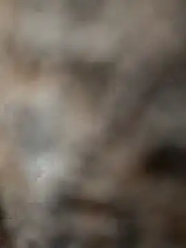 Snapshot of mksharma-mastlund chatting on January 2025 04:05:01 AM mksharma-mastlund online show from January 2025 04:05:01 AM