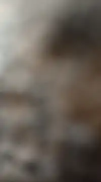 Snapshot of mksharma-mastlund chatting on January 2025 03:47:02 AM mksharma-mastlund online show from January 2025 03:47:02 AM