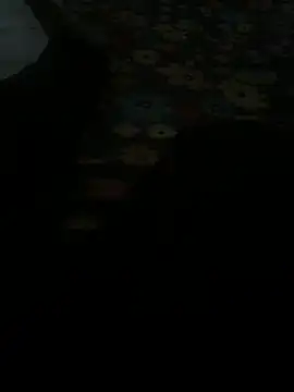 sunno4 online show from October 2025 03:32:02 PM