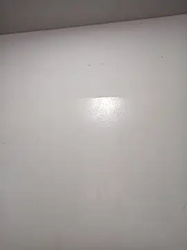 Snapshot of rosifernan chatting on February 2025 06:38:01 PM rosifernan online show from February 2025 06:38:01 PM