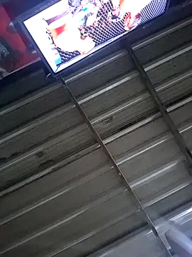 elverg4313 online show from June 2026 07:46:01 AM