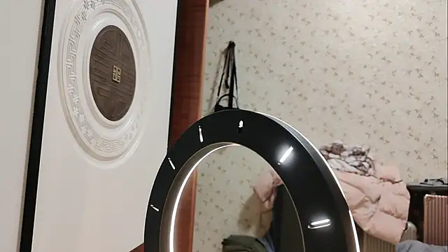 diandian-866 online show from January 2025 01:41:01 PM