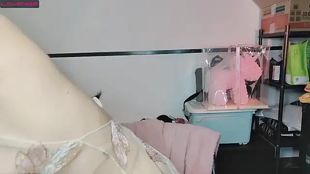 diandian-866 online show from February 2025 02:24:02 PM