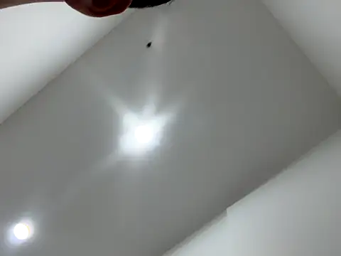 Snapshot of Sexocokin chatting on December 2025 01:16:02 PM Sexocokin online show from December 2025 01:16:02 PM