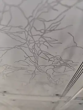 dreamers dick online show from January 2025 04:13:01 PM