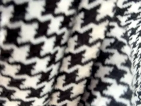 BELLA--26 online show from September 2025 01:36:02 PM