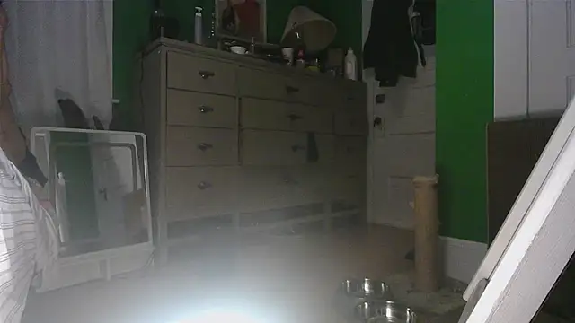 SadCatDaddy online show from April 2026 04:15:02 AM