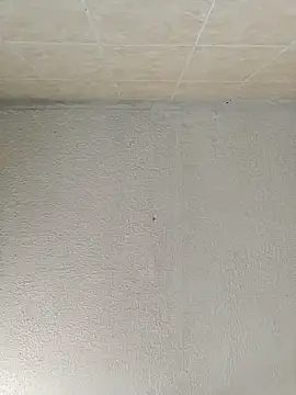 Snapshot of boobsTaylor chatting on September 2025 06:53:02 PM boobsTaylor online show from September 2025 06:53:02 PM