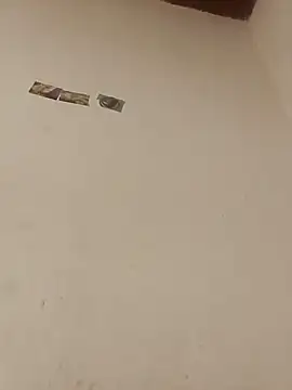 Snapshot of boobsTaylor chatting on October 2025 07:05:02 AM boobsTaylor online show from October 2025 07:05:02 AM