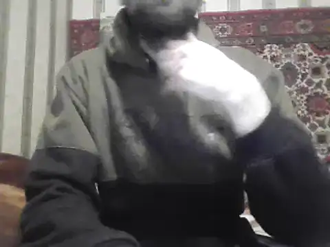 AlferezzSolvajo online show from March 2025 03:20:01 PM