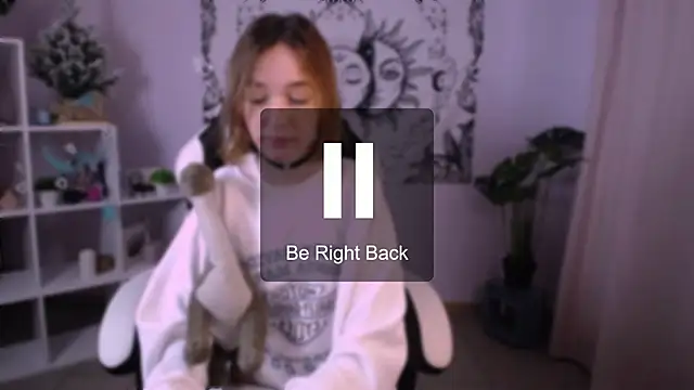 Snapshot of MiniSofy chatting on January 2025 04:27:01 PM MiniSofy online show from January 2025 04:27:01 PM