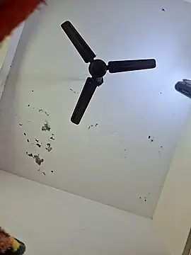 Tanu-Call-Me online show from January 2025 05:10:01 AM