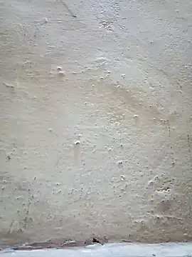 Pooja cut online show from January 2025 01:37:02 AM