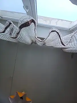 Snapshot of Lauren_Amabel chatting on February 2026 08:24:02 AM Lauren Amabel online show from February 2026 08:24:02 AM