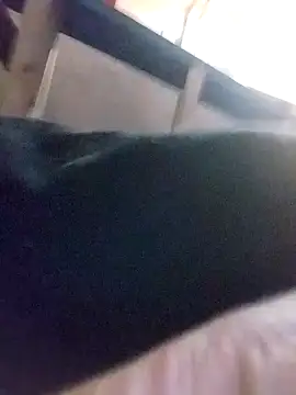 Snapshot of jayjay198080 chatting on January 2025 08:29:01 PM jayjay198080 online show from January 2025 08:29:01 PM