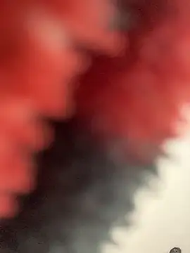 NubeZea online show from October 2025 02:50:02 PM