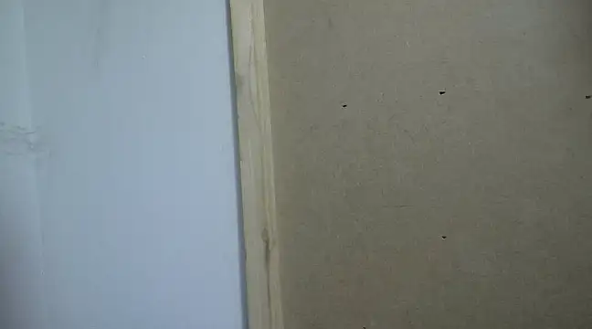 filthymind619 online show from January 2025 01:58:02 AM