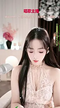 Snapshot of WenBao-Bao chatting on December 2025 06:44:02 AM WenBao-Bao online show from December 2025 06:44:02 AM