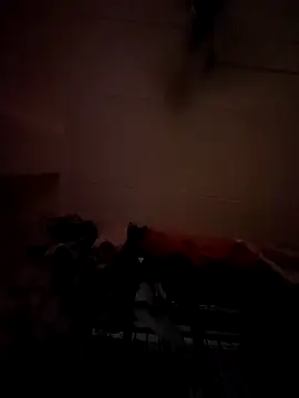 opkiller901 online show from January 2025 10:01:02 PM