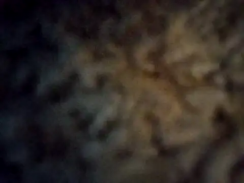 royyul online show from March 2025 02:39:02 AM